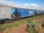 RUMO HTT-351447-1